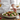 🥗 Salades gourmandes : intégrez le thon en morceaux et les fruits secs pour un twist savoureux